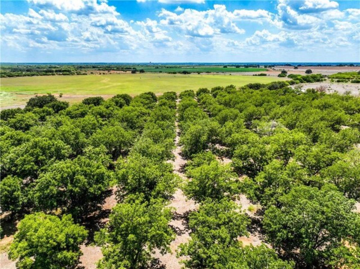 Picture of Residential Land For Sale in Pleasanton, Texas, United States