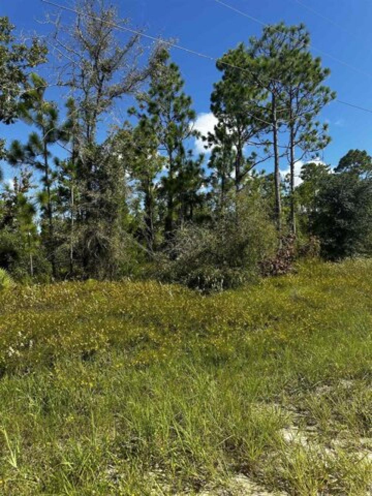 Picture of Residential Land For Sale in Perry, Florida, United States