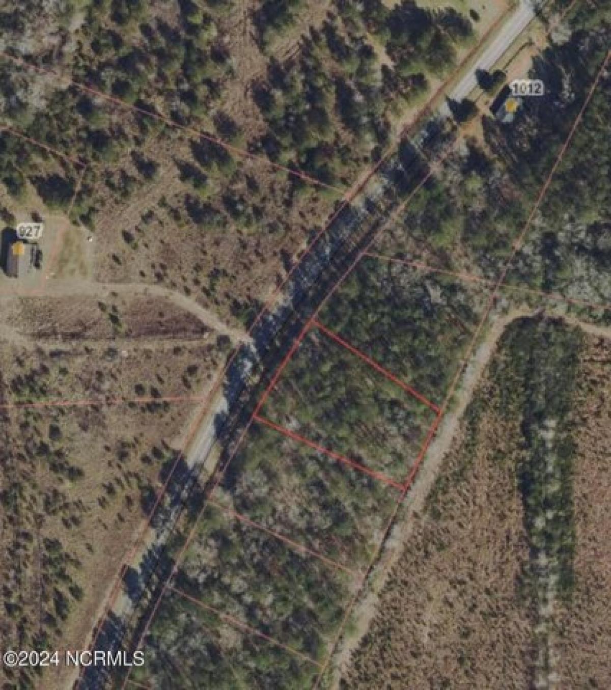 Picture of Residential Land For Sale in Ivanhoe, North Carolina, United States