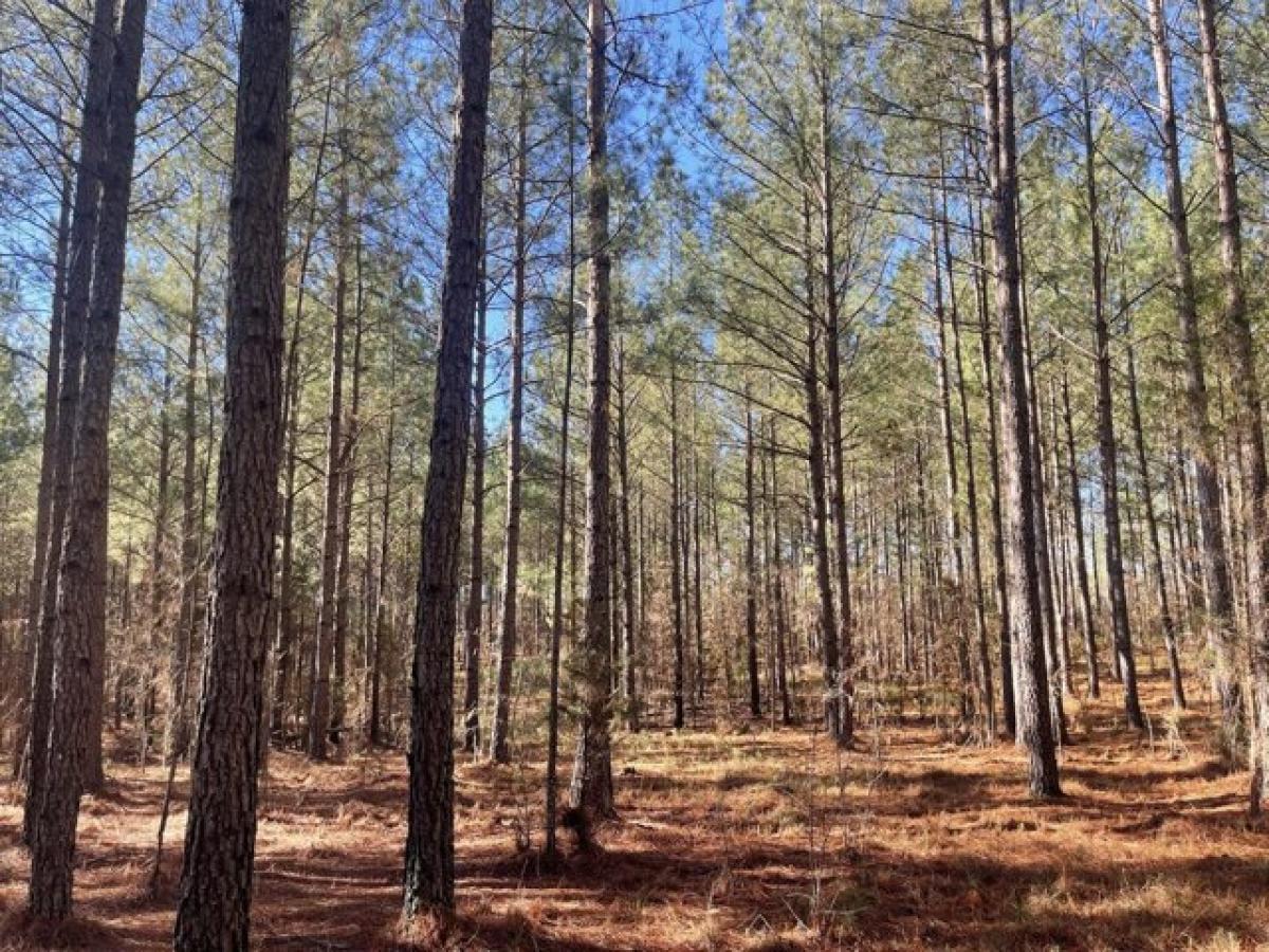 Picture of Residential Land For Sale in Edgefield, South Carolina, United States