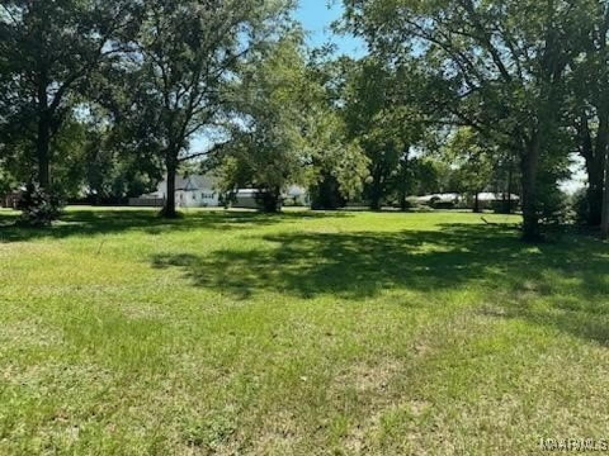 Picture of Residential Land For Sale in Midland City, Alabama, United States