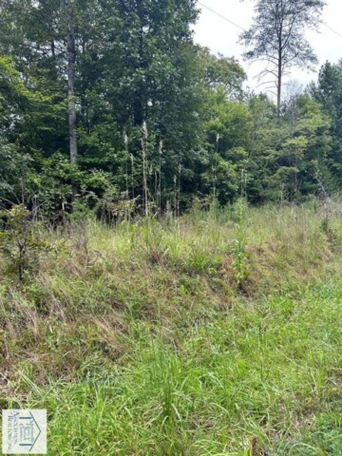 Picture of Residential Land For Sale in Patrick Springs, Virginia, United States