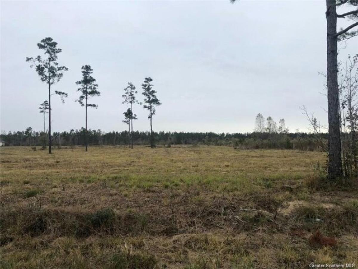 Picture of Residential Land For Sale in Dequincy, Louisiana, United States