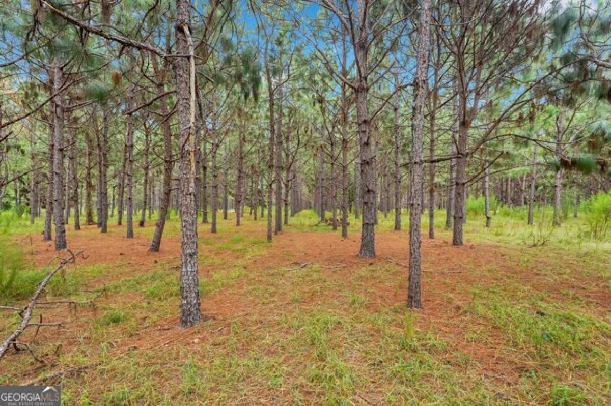 Picture of Residential Land For Sale in Glennville, Georgia, United States