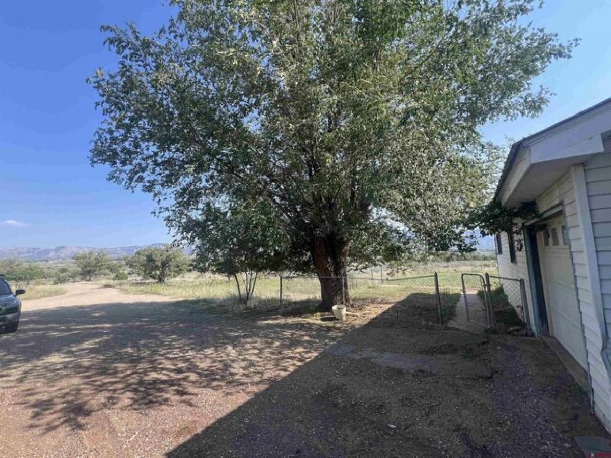 Picture of Home For Sale in Cortez, Colorado, United States