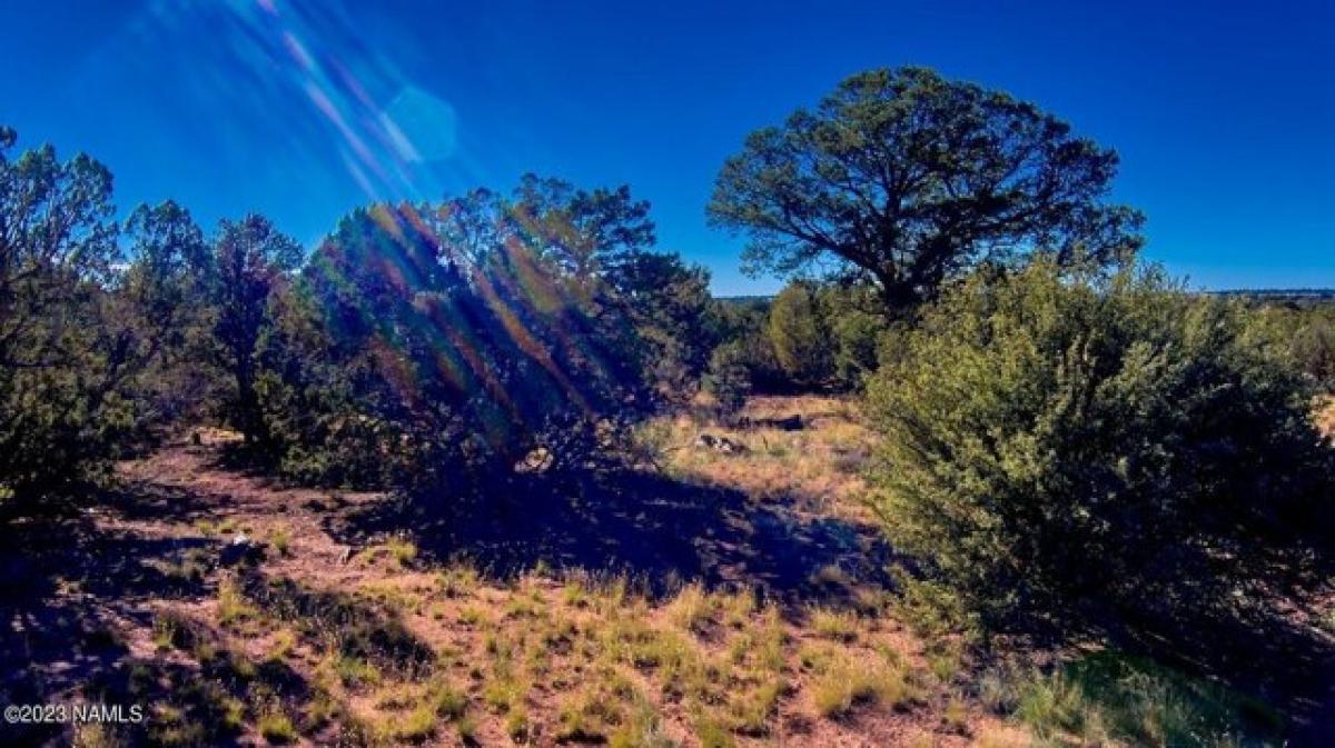 Picture of Residential Land For Sale in Williams, Arizona, United States