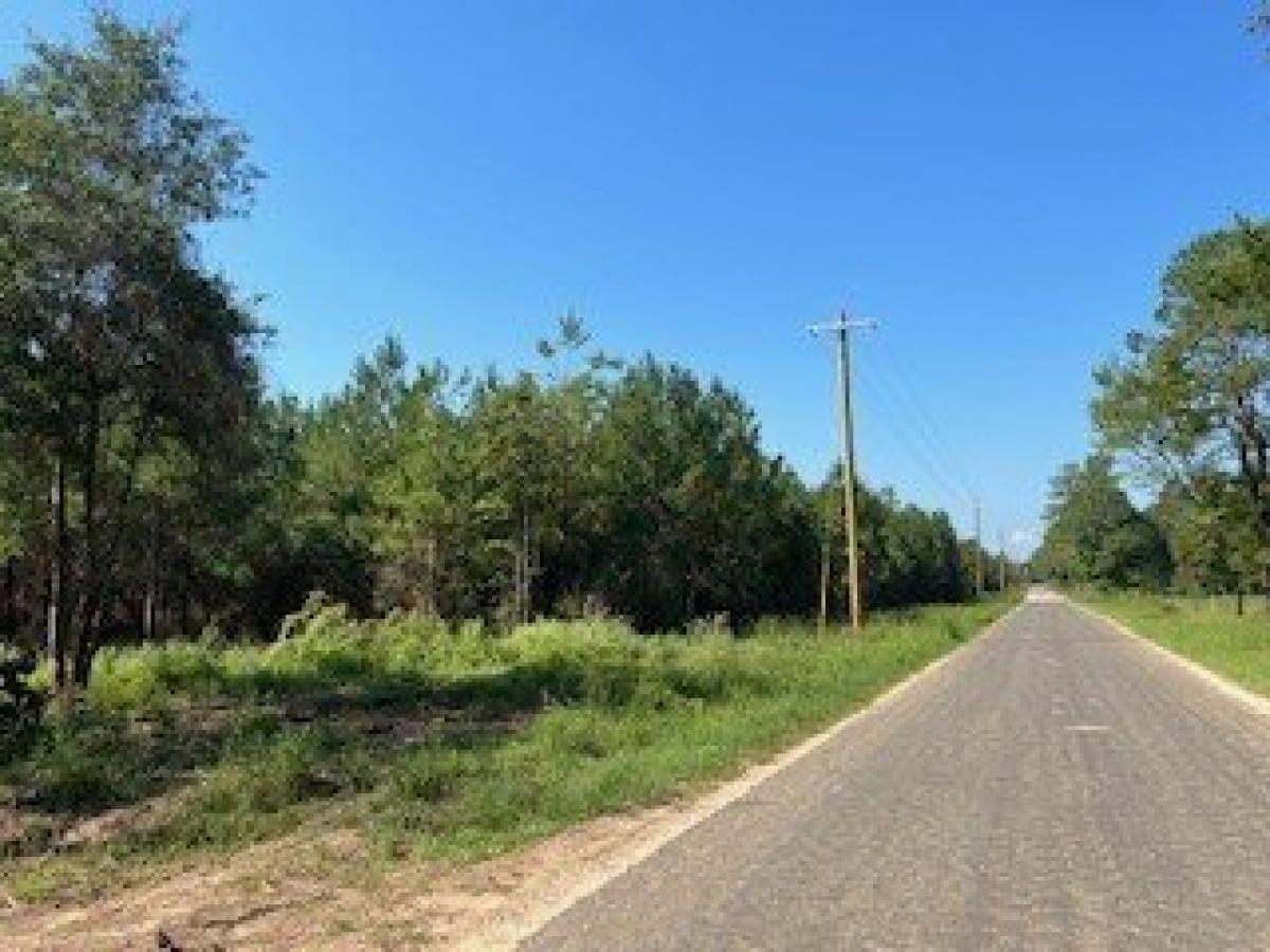 Picture of Residential Land For Sale in Livingston, Texas, United States