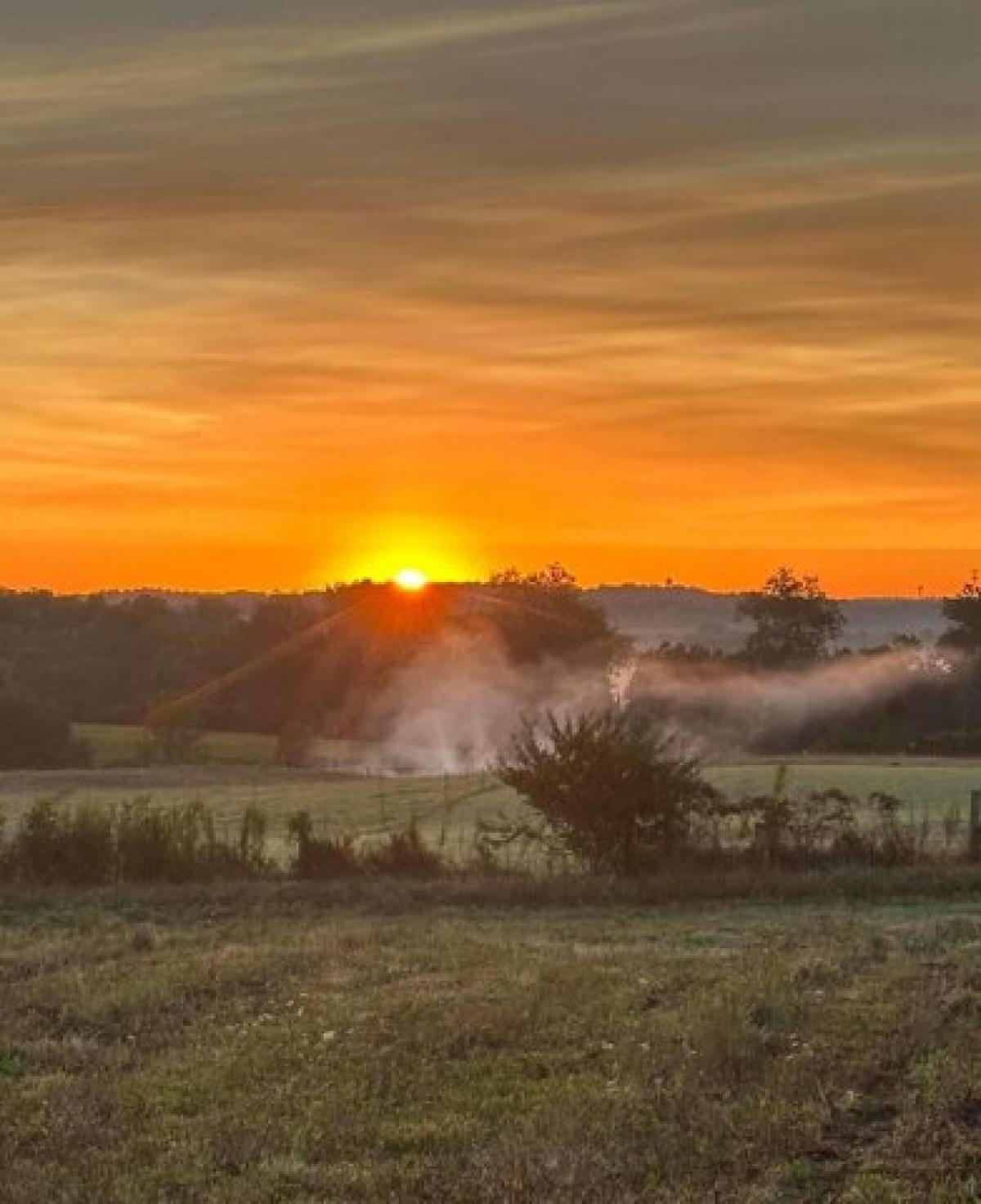 Picture of Residential Land For Sale in Mount Vernon, Ohio, United States