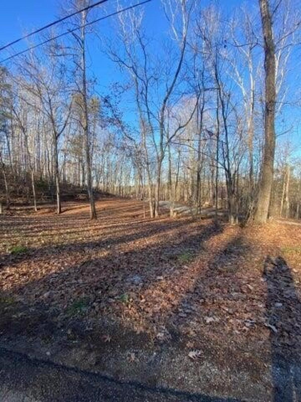 Picture of Residential Land For Sale in Burnside, Kentucky, United States