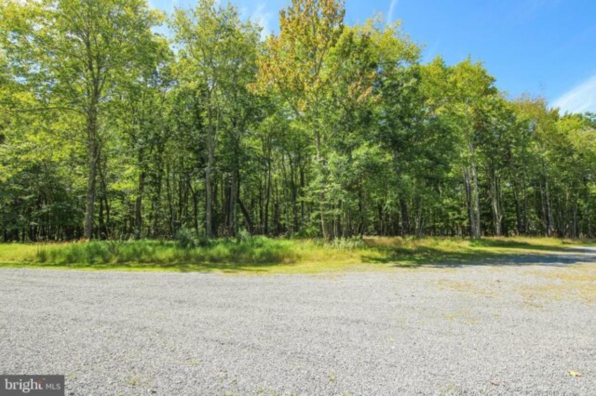 Picture of Residential Land For Sale in Oakland, Maryland, United States