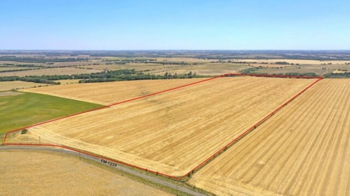 Picture of Residential Land For Sale in Eddy, Texas, United States