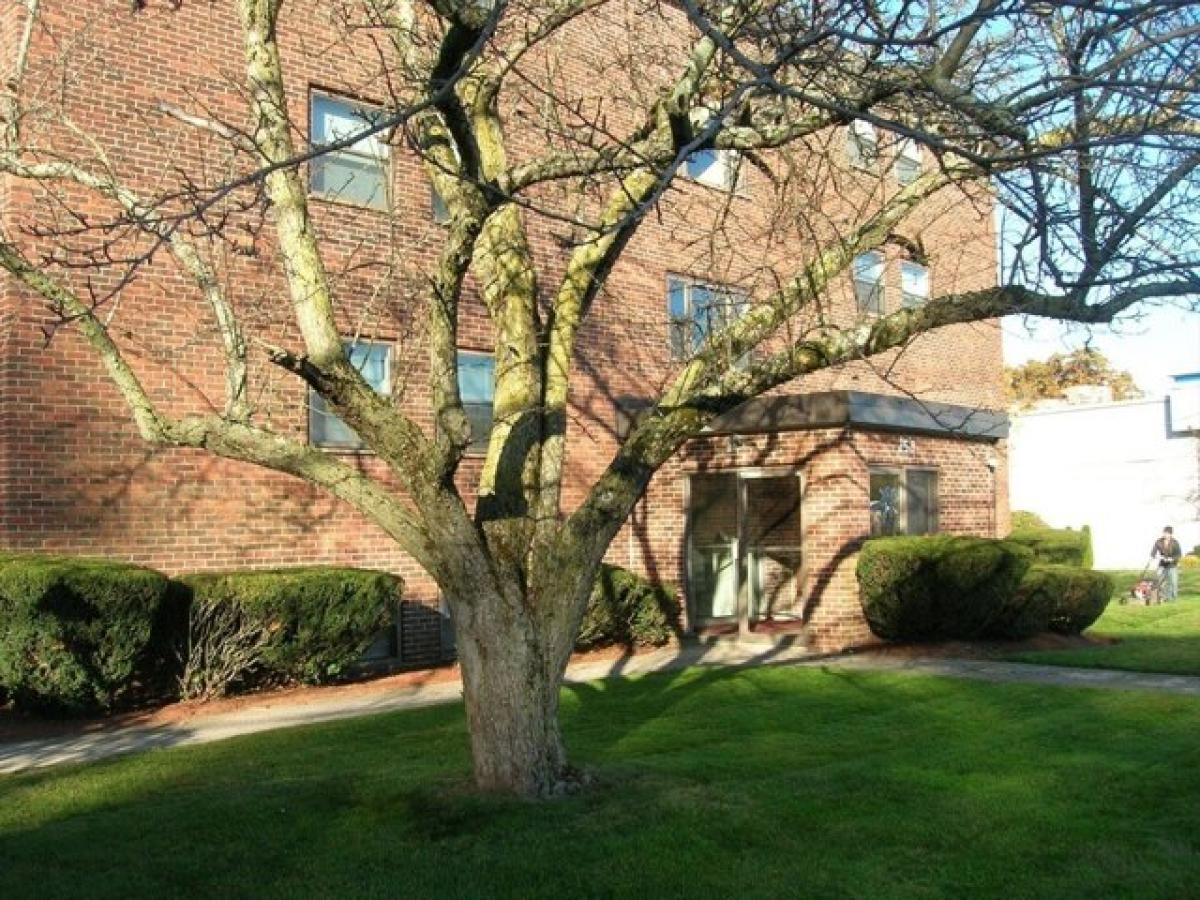 Picture of Apartment For Rent in North Reading, Massachusetts, United States