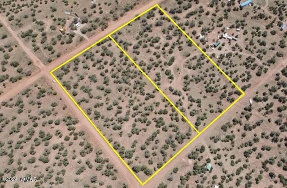 Picture of Residential Land For Sale in Snowflake, Arizona, United States