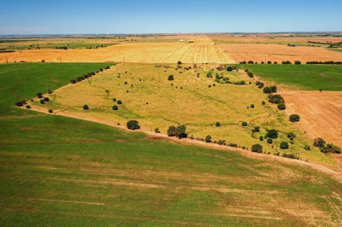 Picture of Residential Land For Sale in Bluff City, Kansas, United States