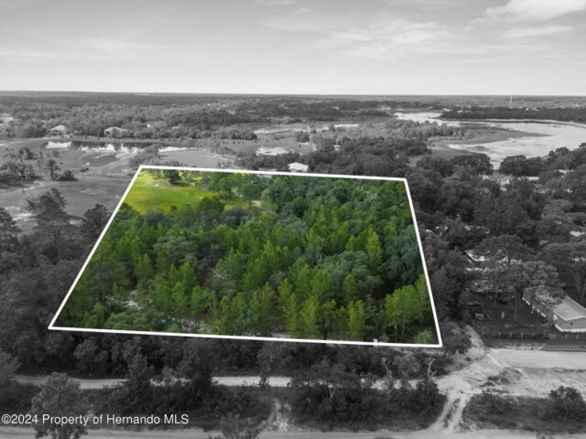 Picture of Residential Land For Sale in Weeki Wachee, Florida, United States