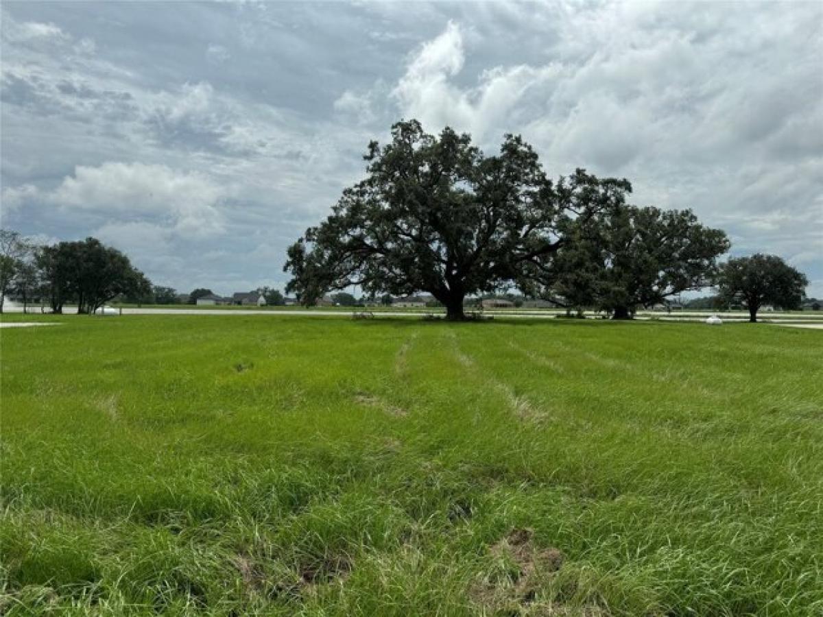 Picture of Residential Land For Sale in Rosharon, Texas, United States