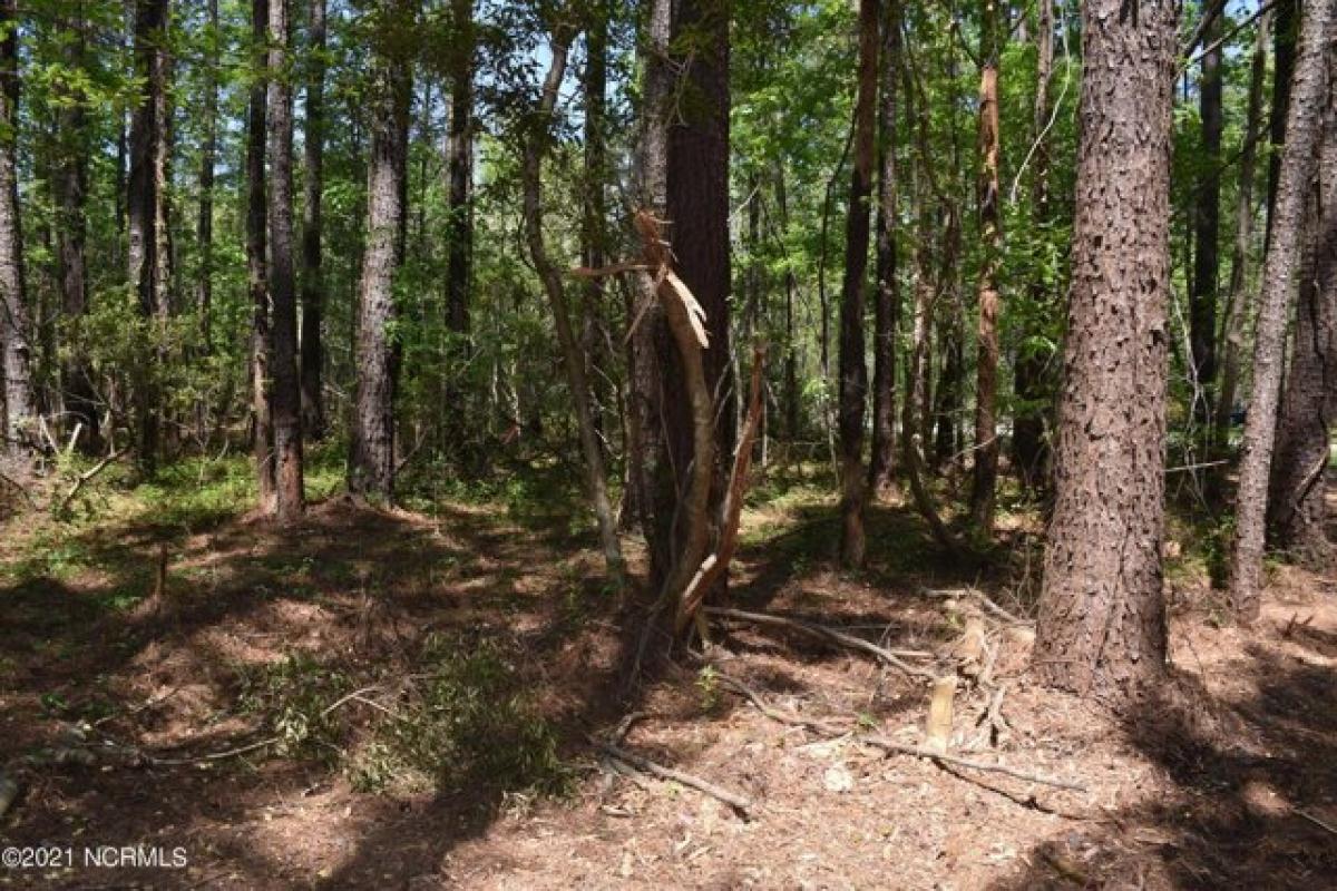 Picture of Residential Land For Sale in Bath, North Carolina, United States