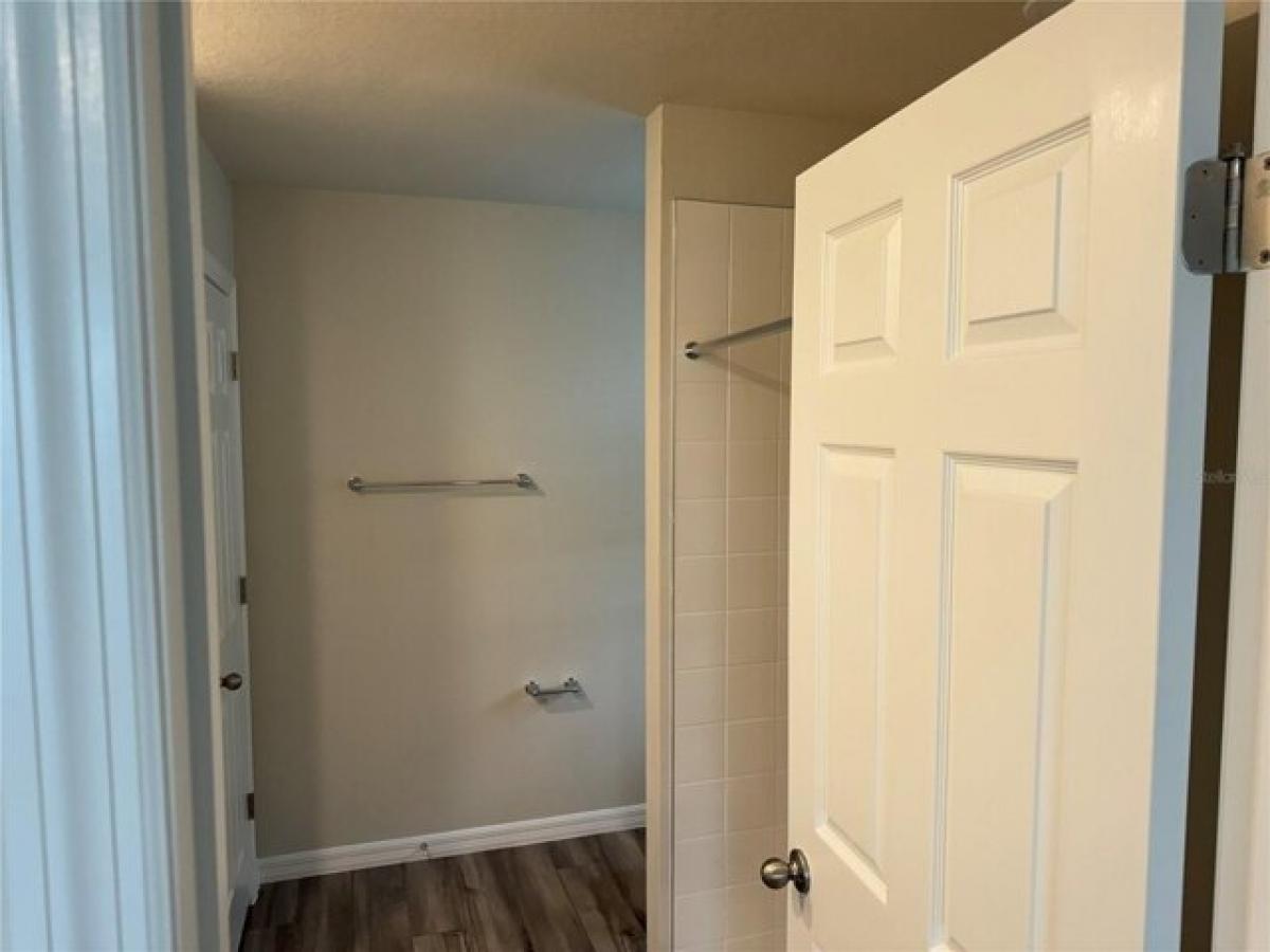 Picture of Home For Rent in Wesley Chapel, Florida, United States