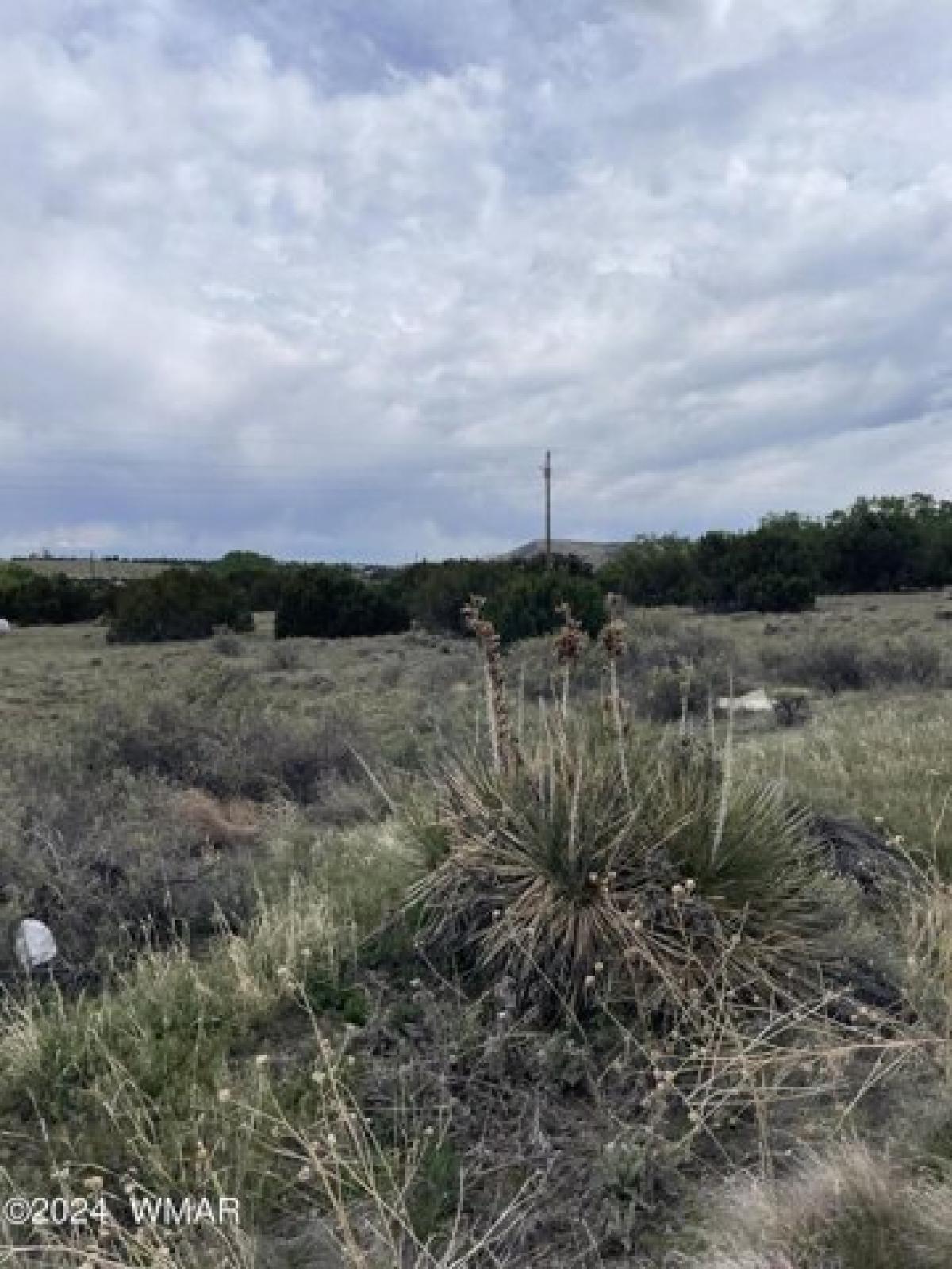 Picture of Residential Land For Sale in Concho, Arizona, United States