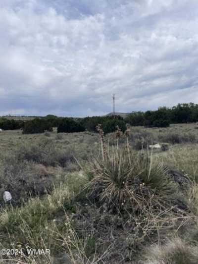 Residential Land For Sale in Concho, Arizona