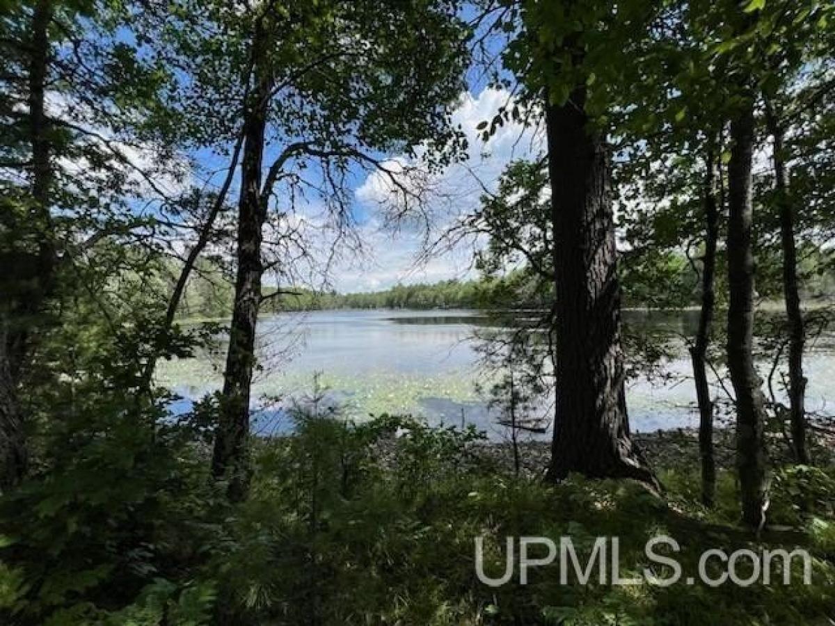 Picture of Residential Land For Sale in Watersmeet, Michigan, United States