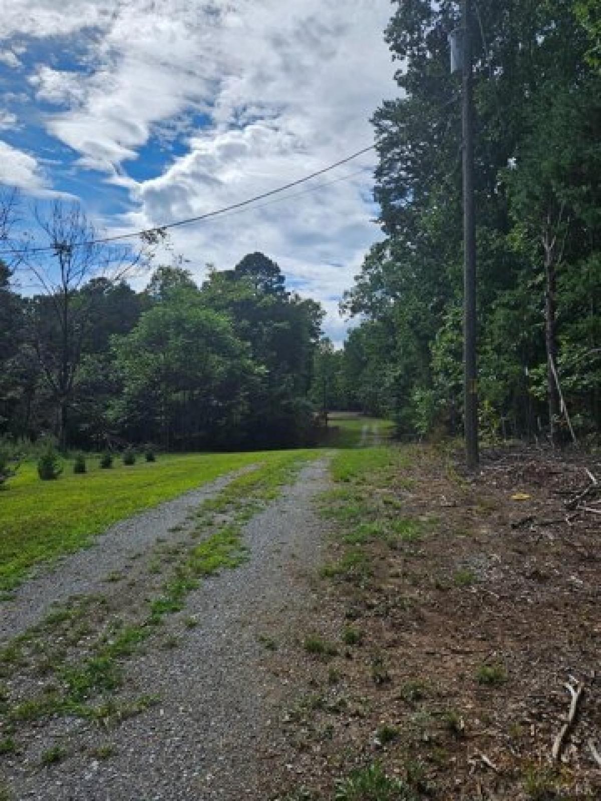 Picture of Residential Land For Sale in Evington, Virginia, United States