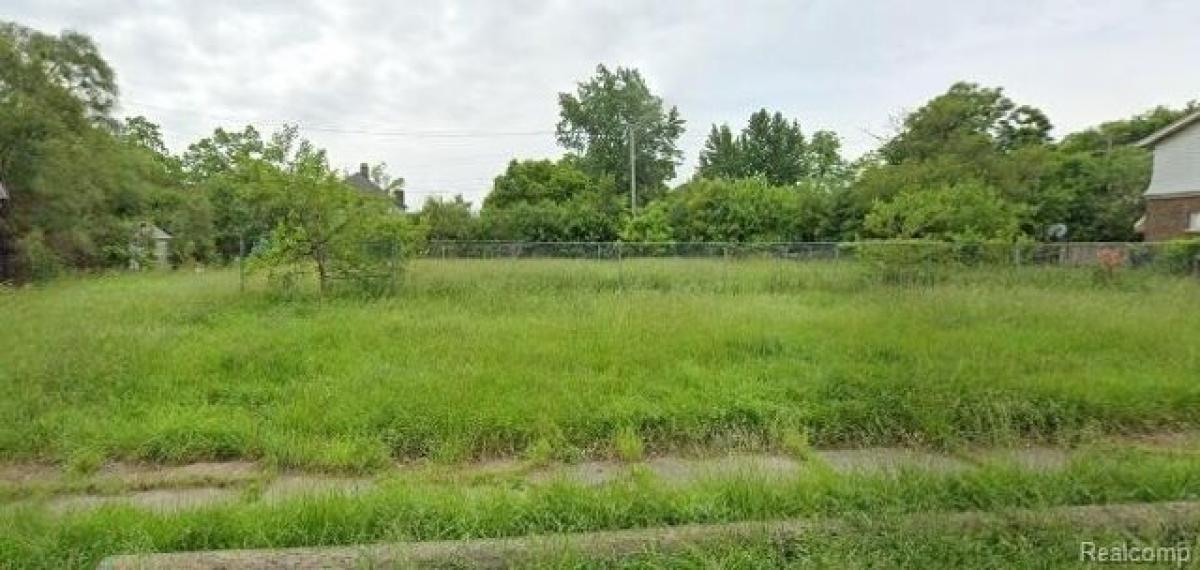 Picture of Residential Land For Sale in Detroit, Michigan, United States