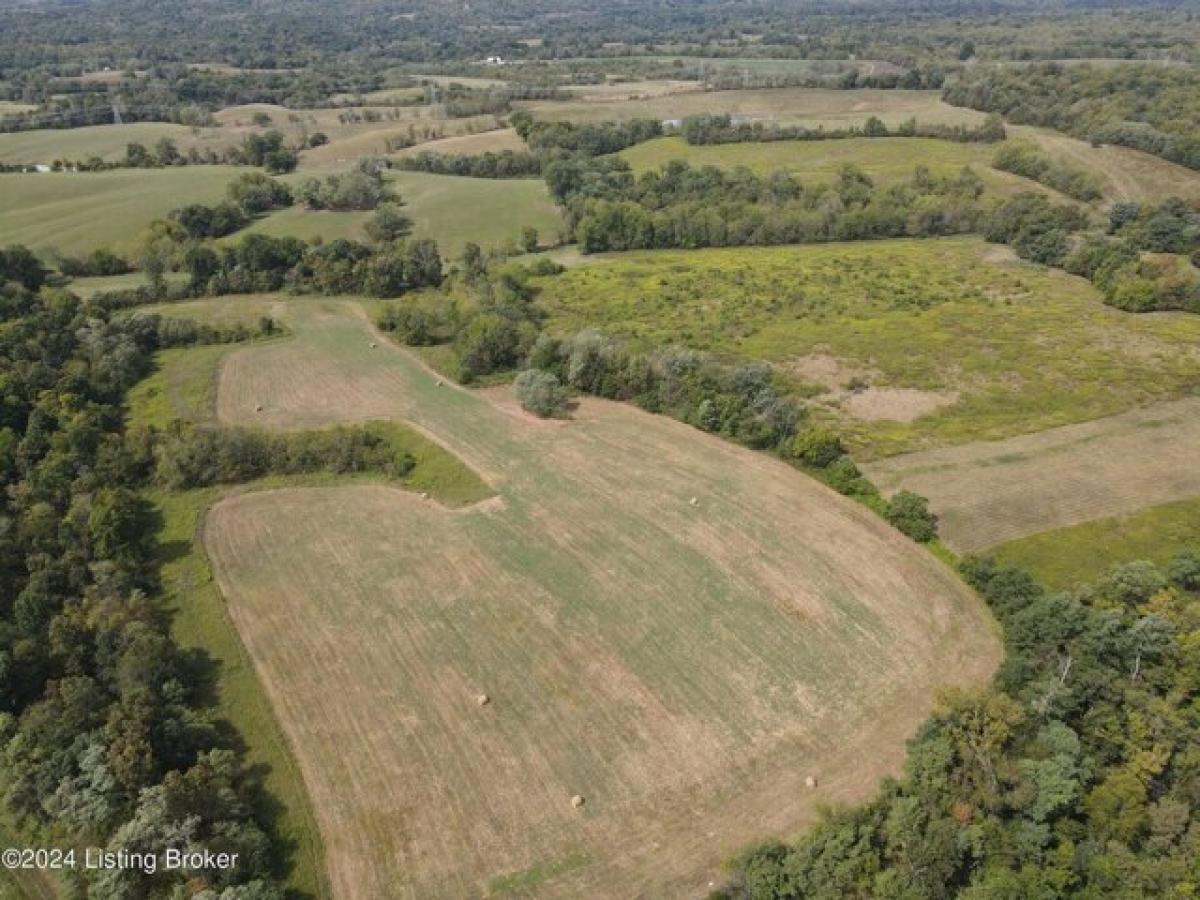 Picture of Residential Land For Sale in Ghent, Kentucky, United States