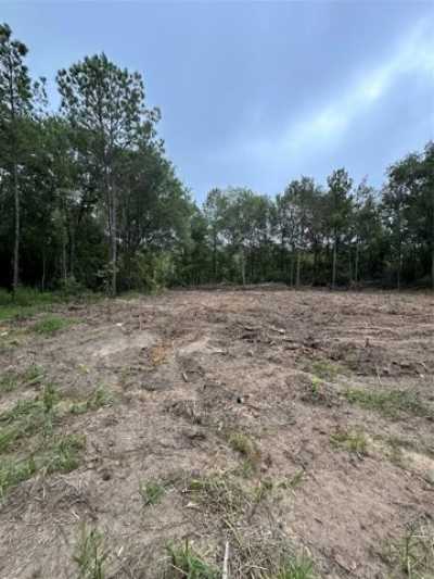 Residential Land For Sale in Plantersville, Texas