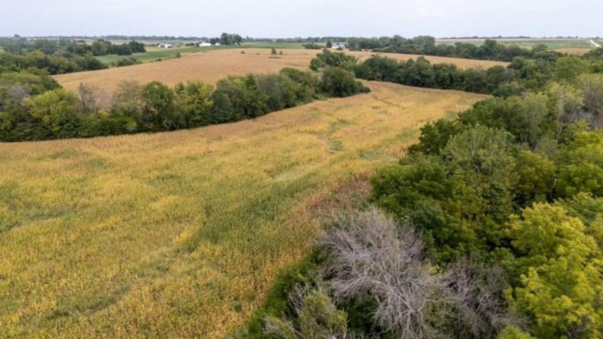 Picture of Residential Land For Sale in Lineville, Iowa, United States