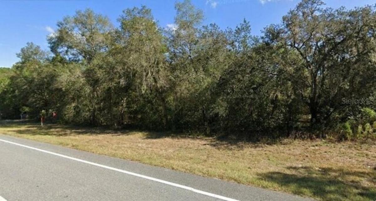 Picture of Residential Land For Sale in Floral City, Florida, United States