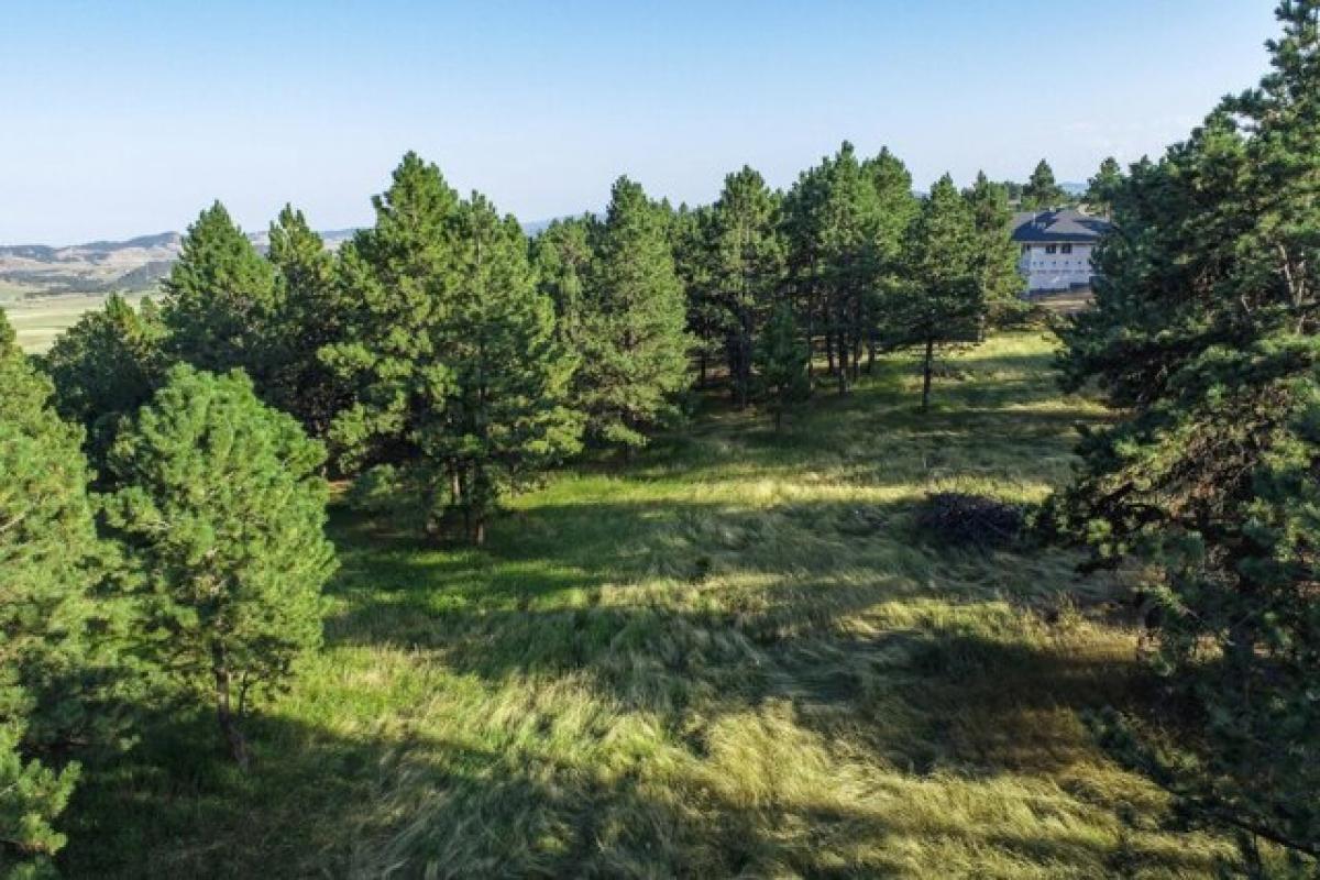 Picture of Residential Land For Sale in Spearfish, South Dakota, United States