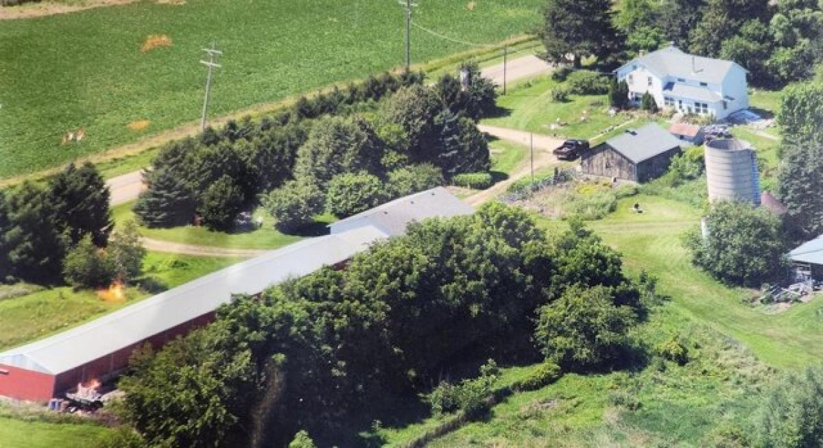 Picture of Home For Sale in Leaf River, Illinois, United States