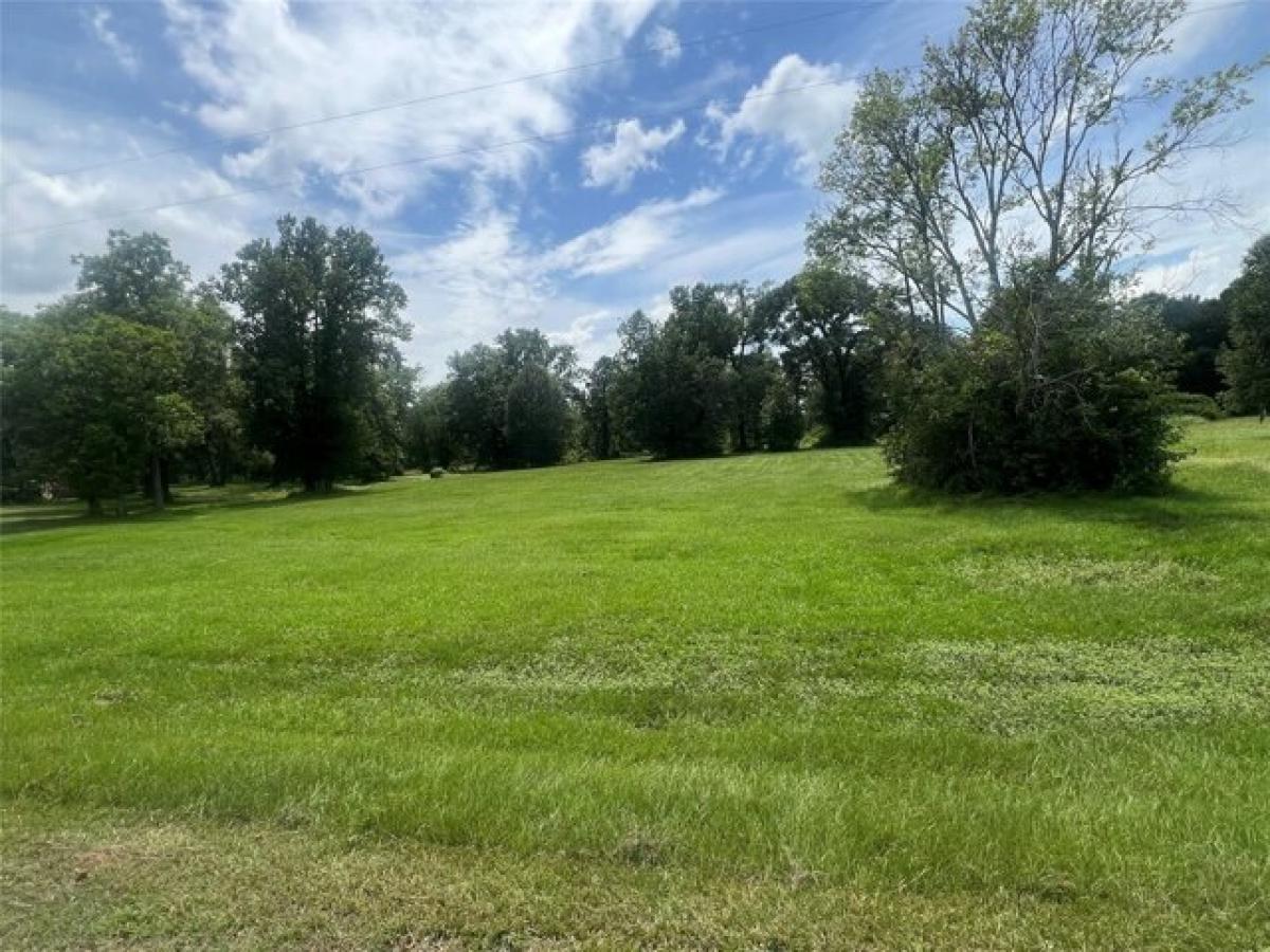 Picture of Residential Land For Sale in Shepherd, Texas, United States