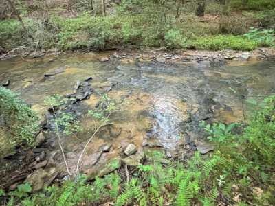 Residential Land For Sale in Ellijay, Georgia