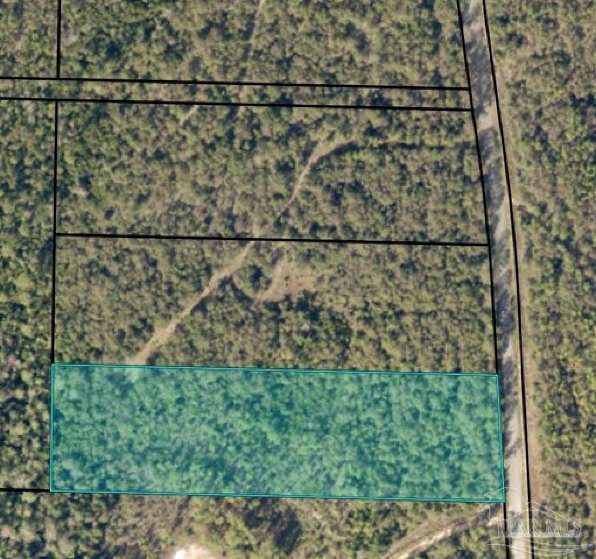 Picture of Residential Land For Sale in Jay, Florida, United States