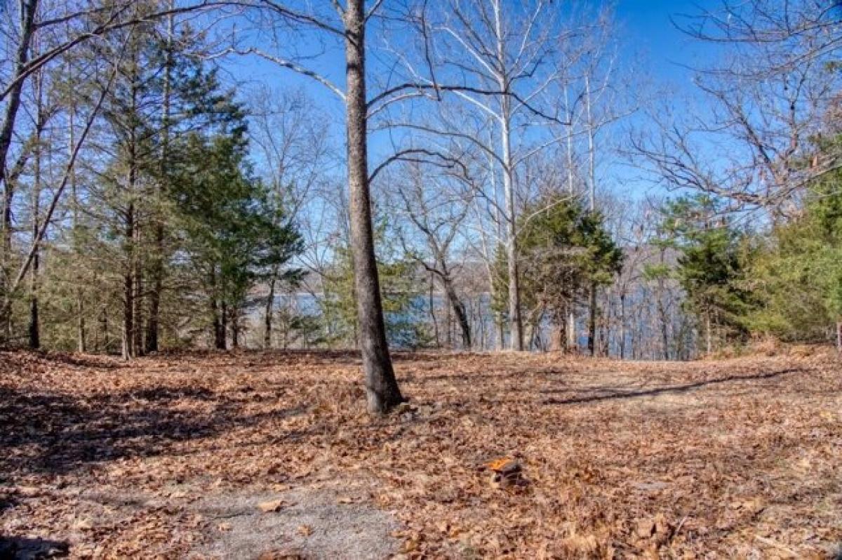 Picture of Residential Land For Sale in Eureka Springs, Arkansas, United States