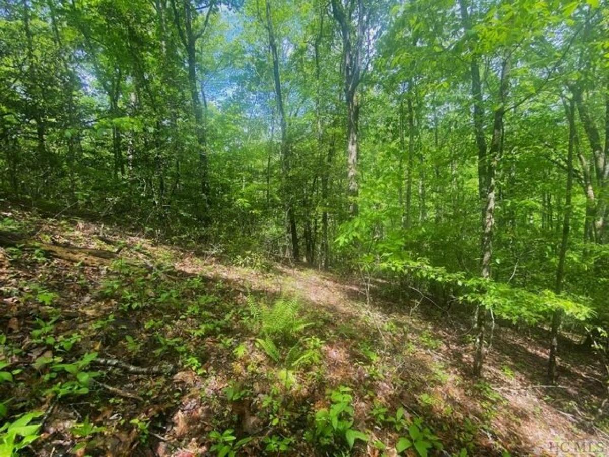 Picture of Residential Land For Sale in Franklin, North Carolina, United States