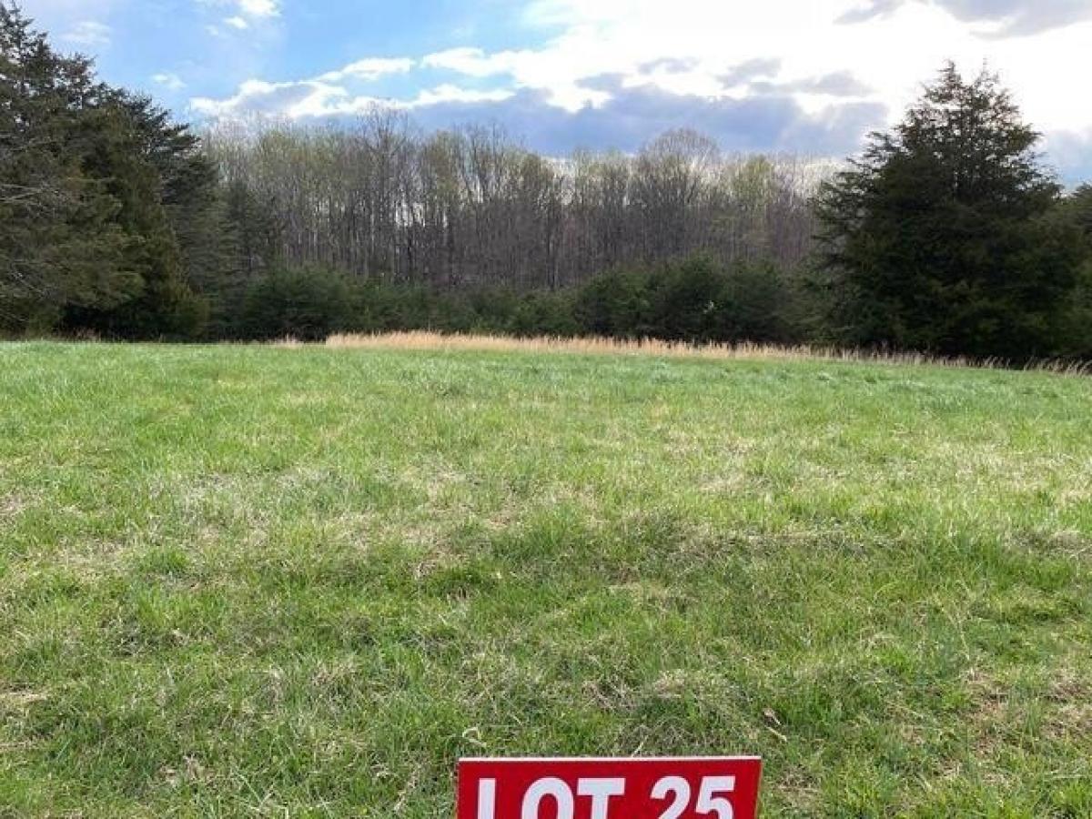 Picture of Residential Land For Sale in Moneta, Virginia, United States