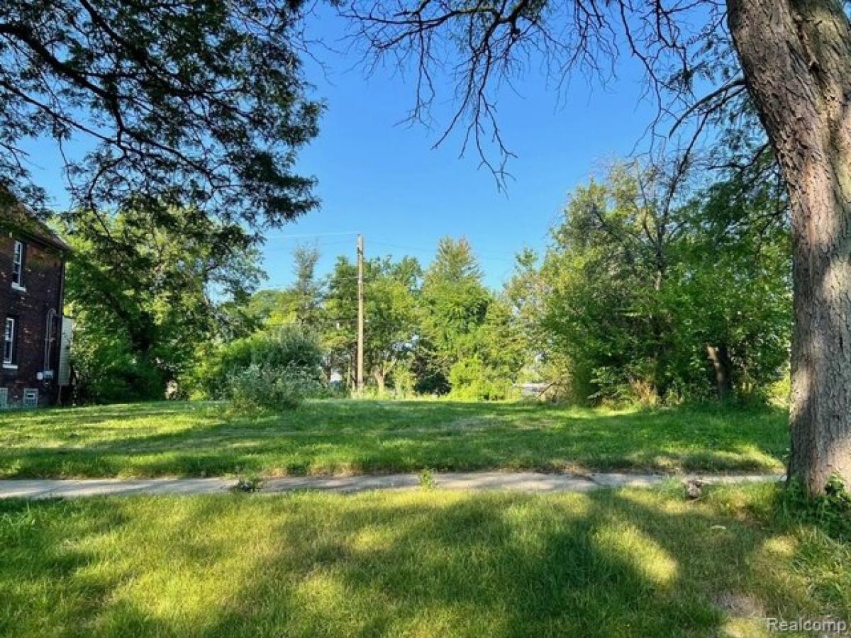 Picture of Residential Land For Rent in Detroit, Michigan, United States