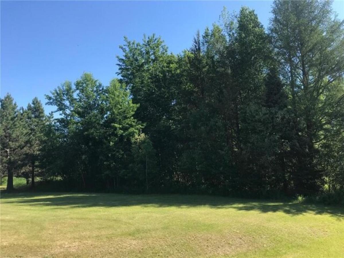 Picture of Residential Land For Sale in Bemidji, Minnesota, United States