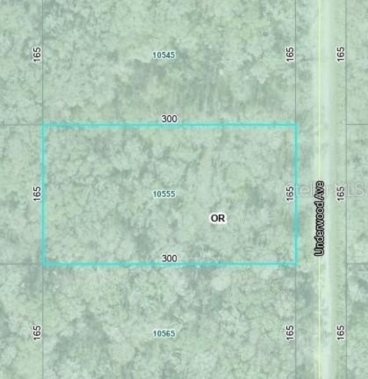 Picture of Residential Land For Sale in Hastings, Florida, United States