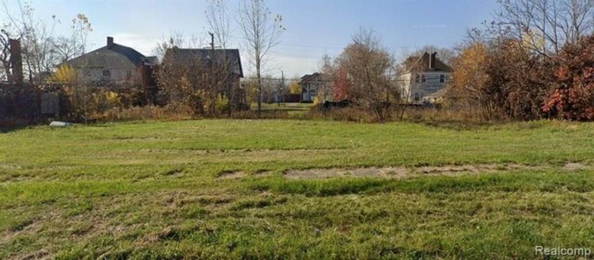 Picture of Residential Land For Rent in Detroit, Michigan, United States