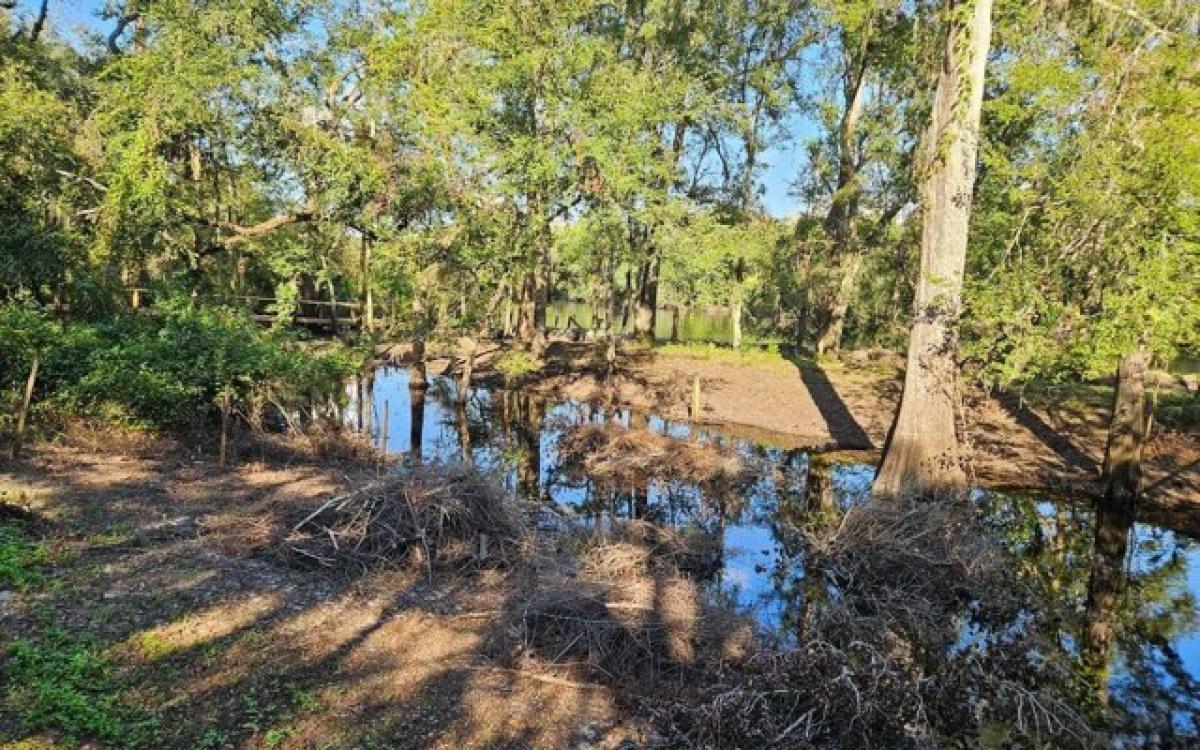 Picture of Residential Land For Sale in Live Oak, Florida, United States