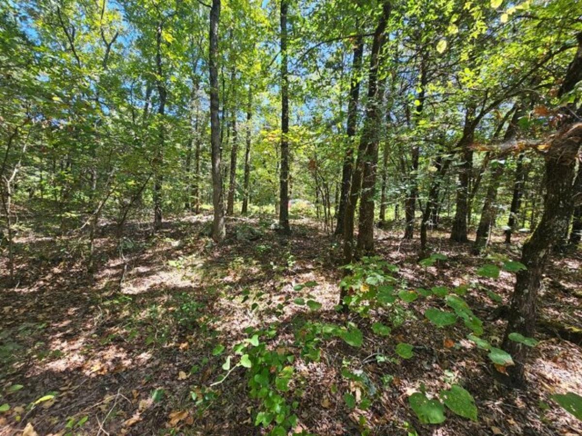 Picture of Residential Land For Sale in Red Oak, Oklahoma, United States