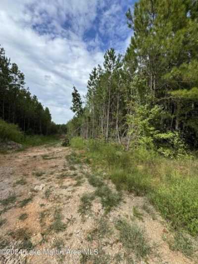 Residential Land For Sale in Dadeville, Alabama