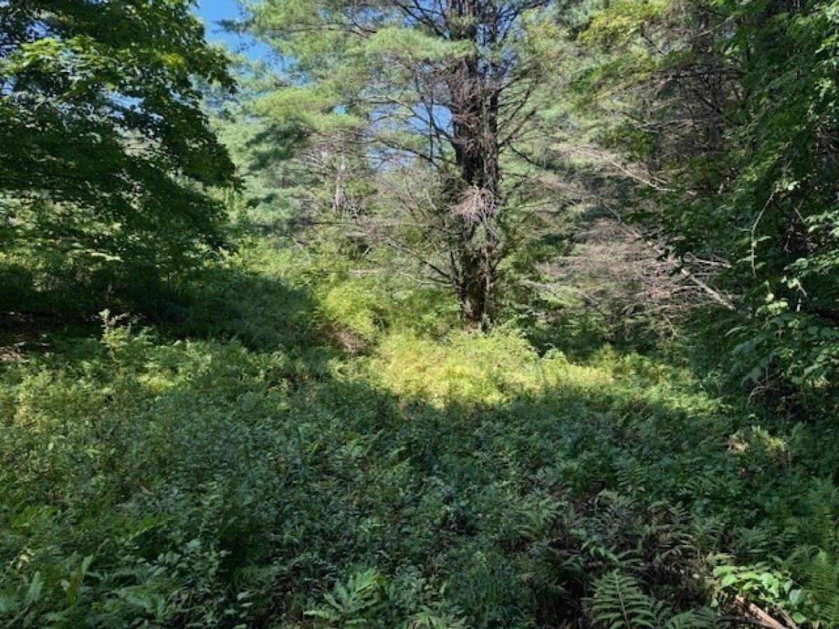 Picture of Residential Land For Sale in Ashfield, Massachusetts, United States