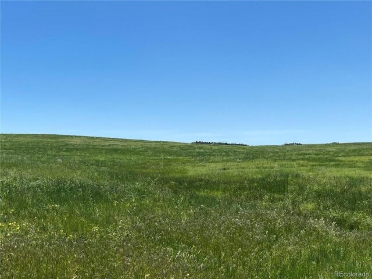 Picture of Residential Land For Sale in Larkspur, Colorado, United States