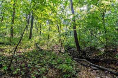 Residential Land For Rent in Nebo, Illinois