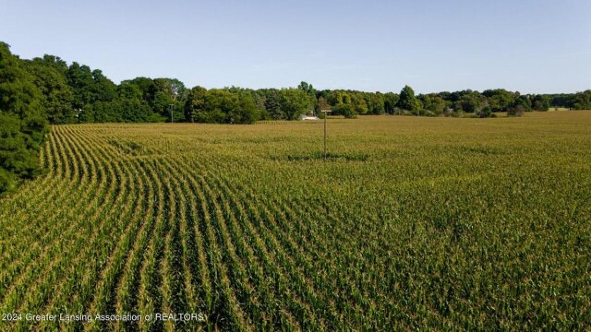 Picture of Residential Land For Sale in Charlotte, Michigan, United States